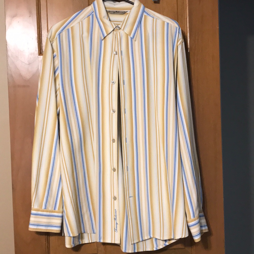 Striped Silk Button Down